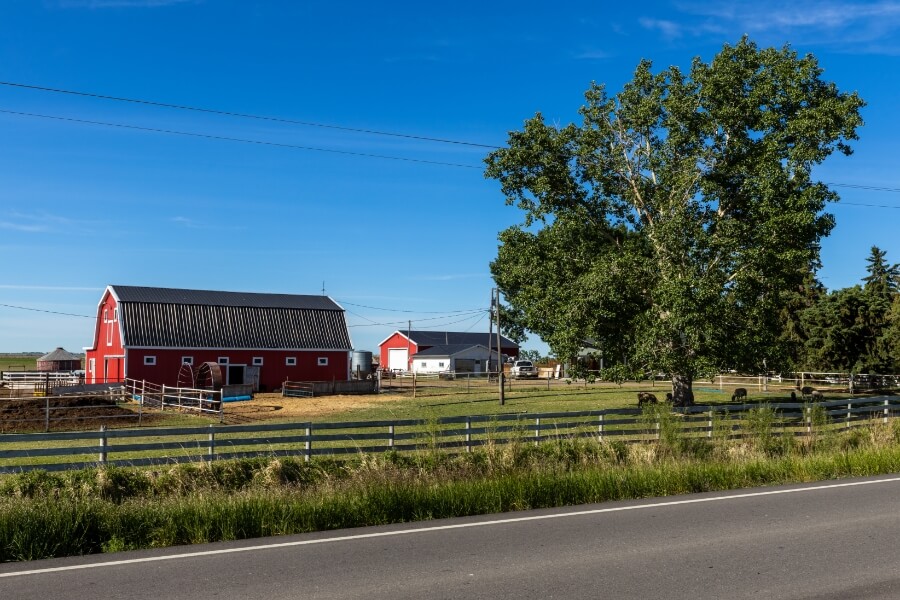 An Albertan homestead